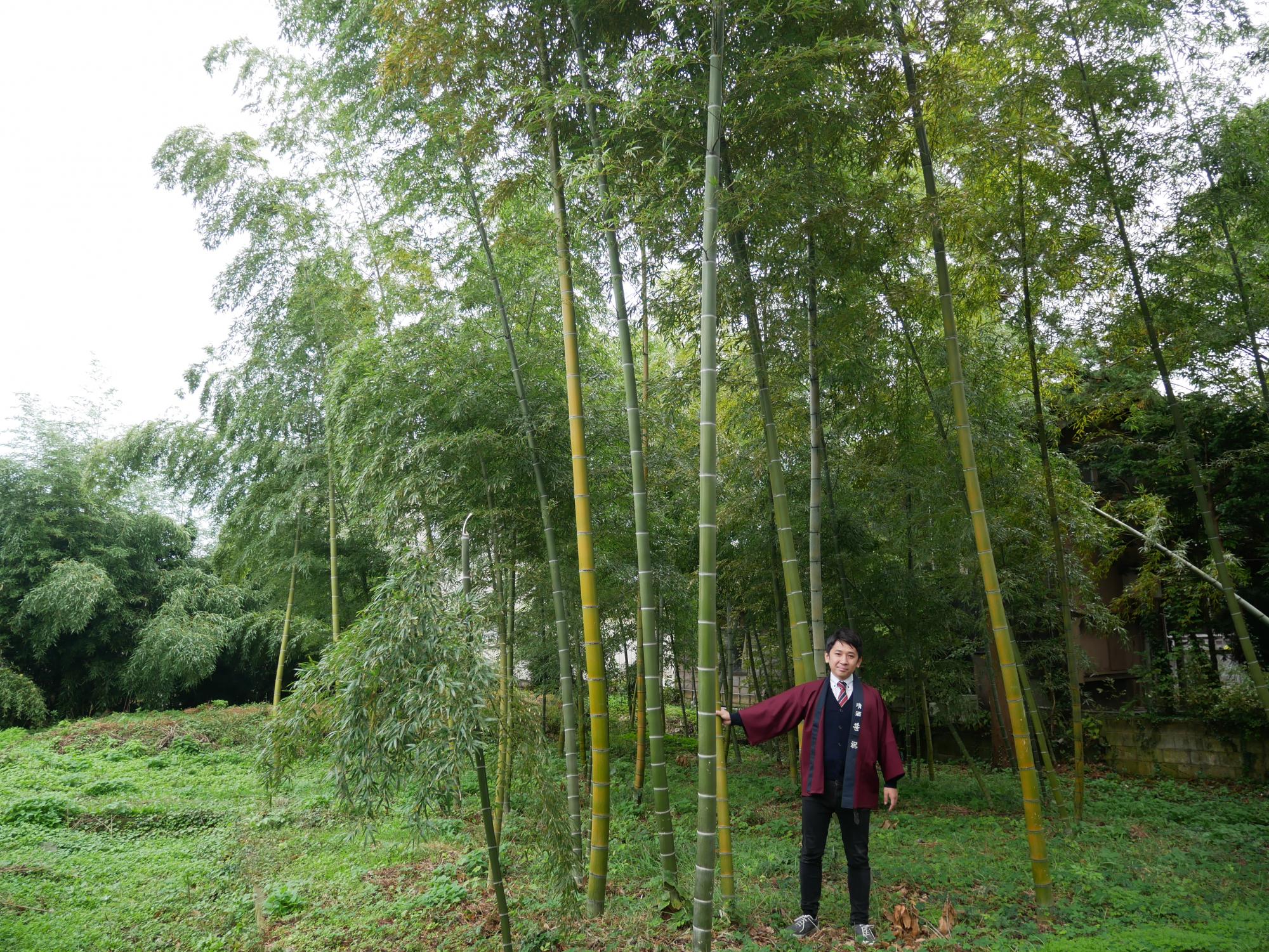 Saka-gura of SASAIWAI SHUZO Open to the Public