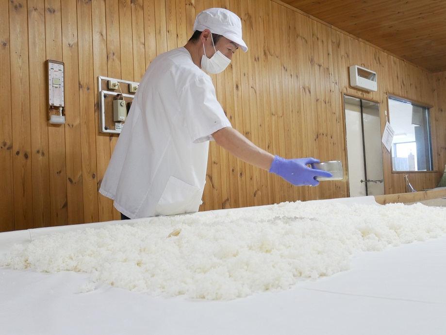 Making Koji of HAKURO SHUZO