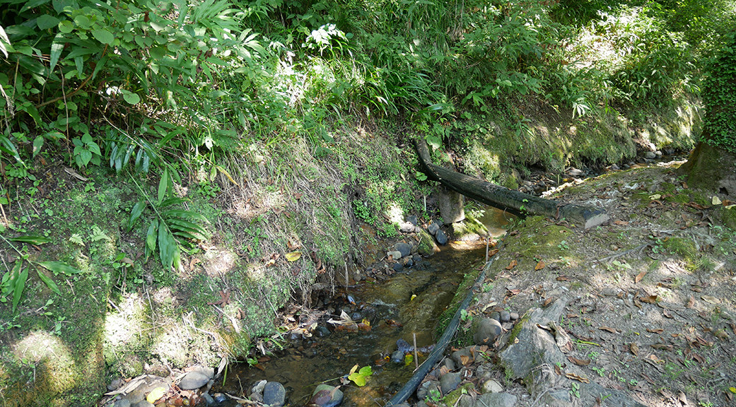 Spring Water in Takayanagi-Machi, Essential for Sake Production of ISHIZUKA SHUZO